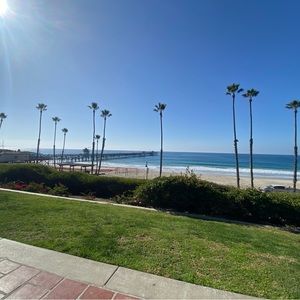 Meet your Posher, Kim and sammy